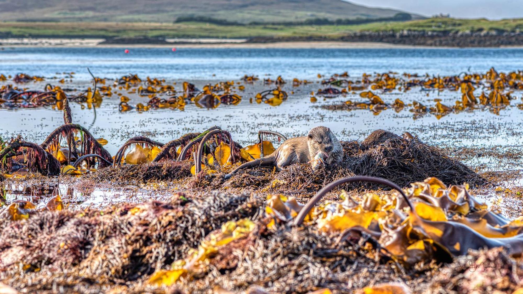 North Uist Lodges Tigharry Ngoại thất bức ảnh